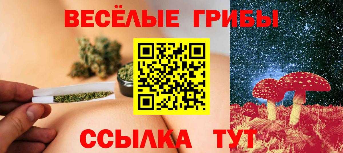 Псилоцибиновые грибы Cubensis Обь